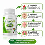 Gramin Ayurveda PilesCare Herbal Capsules – Ayurvedic Relief for Piles, Fissure, Fistula & Bleeding | Natural Digestive & Rectal Support Formula